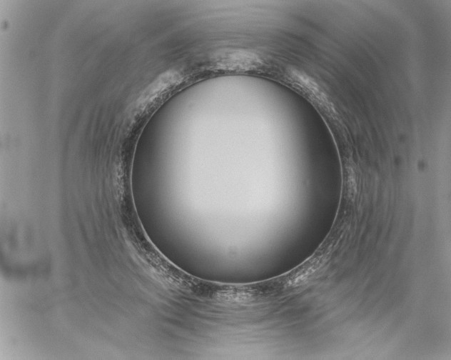 X0000059080354200510172035