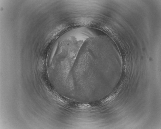 X0000059080355200510172035