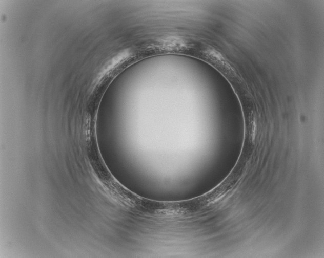 X0000059080356200510172035