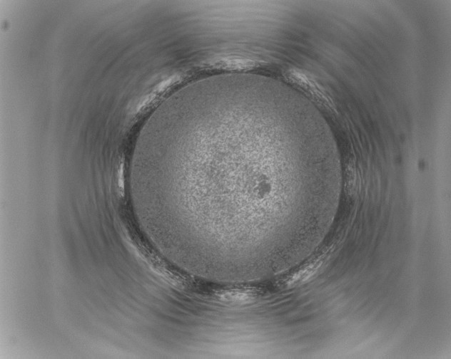 X0000059080358200510172035