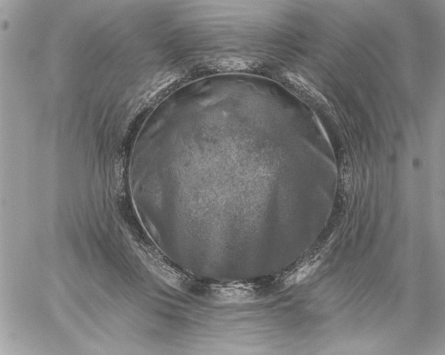 X0000059080359200510172035