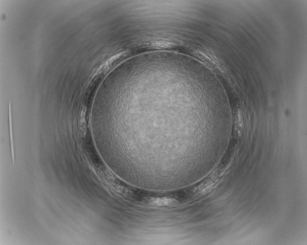 X0000059080360200510172035