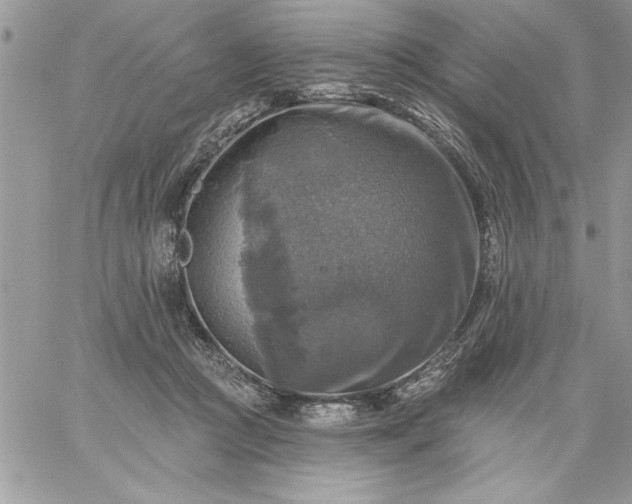 X0000059080361200510172035