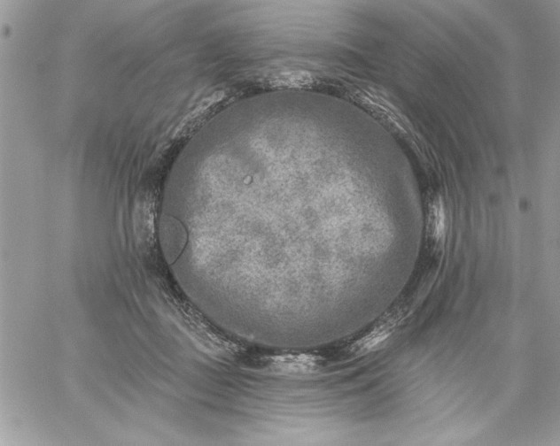 X0000059080363200510172035