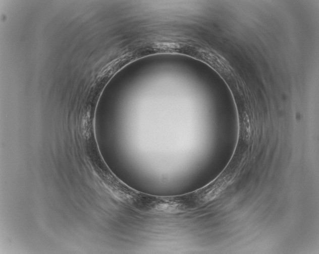 X0000059080364200510172035