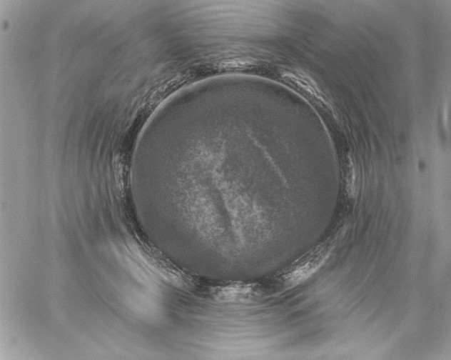 X0000059080366200510172035