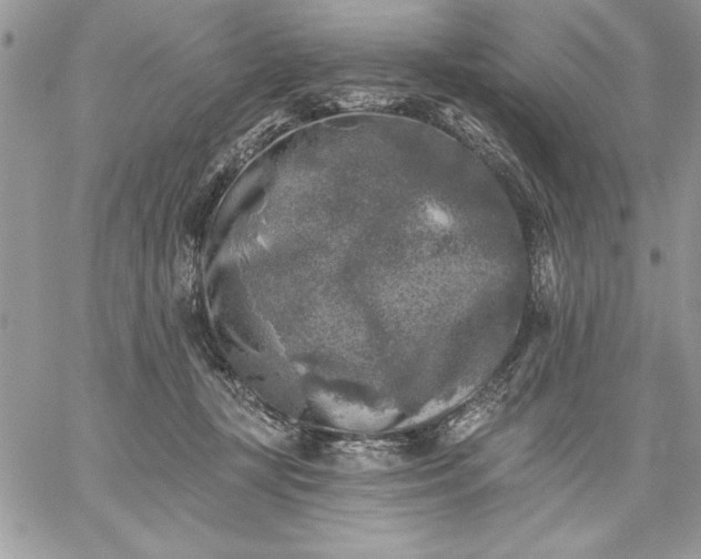 X0000059080367200510172035