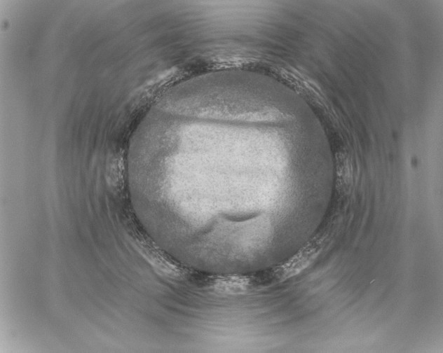 X0000059080369200510172035