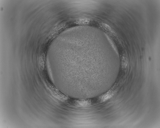 X0000059080370200510172035