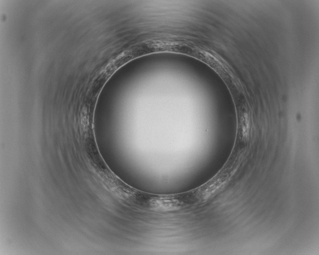 X0000059080372200510172036