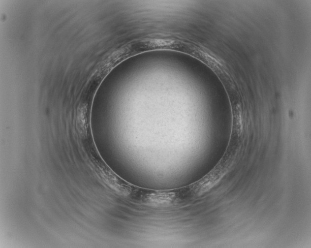 X0000059080373200510172036