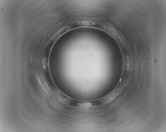 X0000059080374200510172036