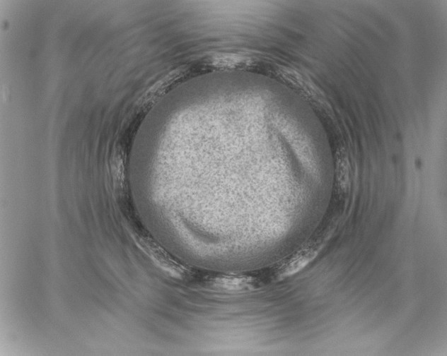 X0000059080375200510172036