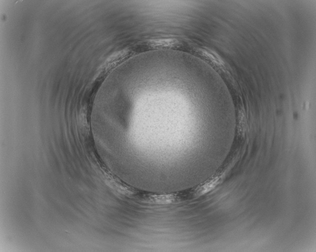 X0000059080377200510172036