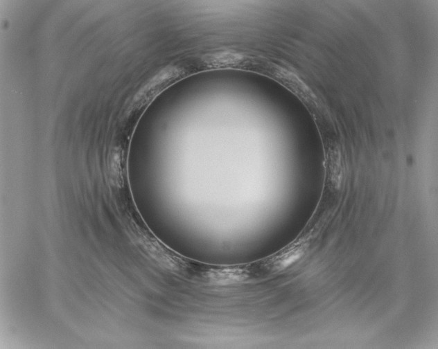 X0000059080378200510172036