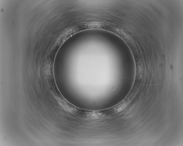 X0000059080379200510172036