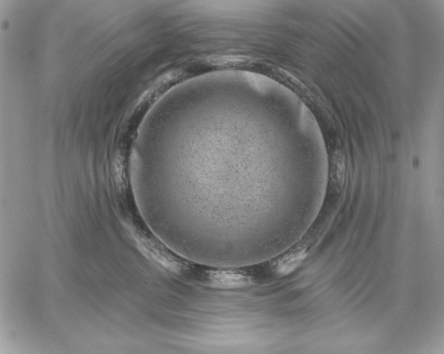 X0000059080380200510172036