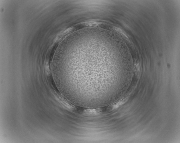 X0000059080381200510172036