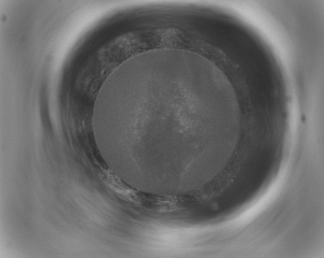 X0000059080382200510172036