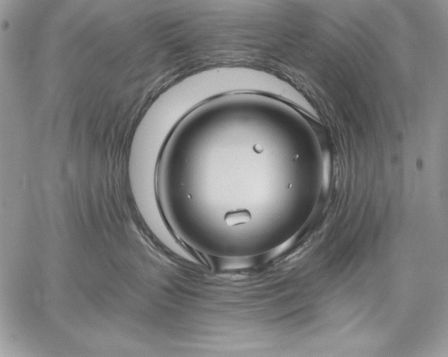 X0000059080383200510172036