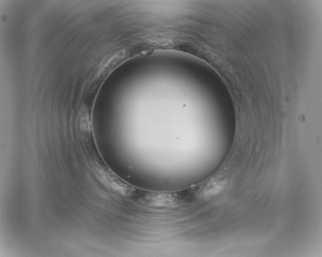 X0000059080384200510172036