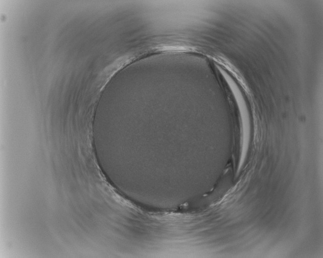 X0000059080385200510172035