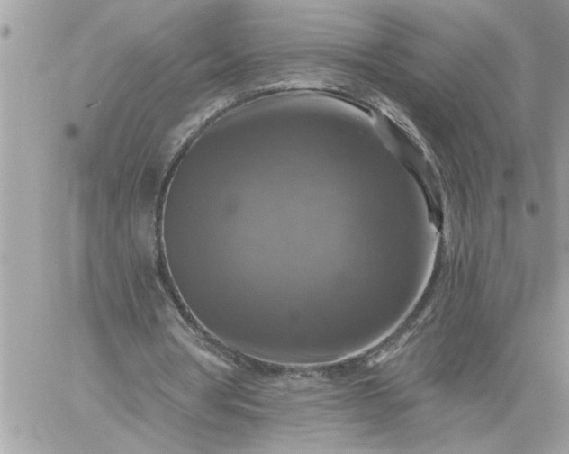 X0000059080386200510172035