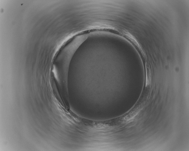 X0000059080387200510172035