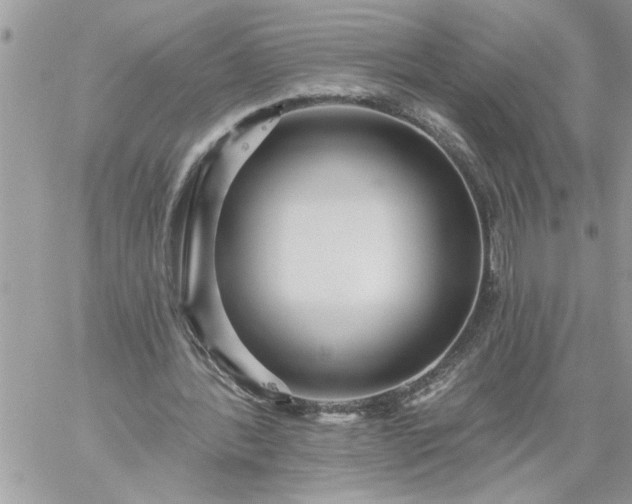 X0000059080388200510172035