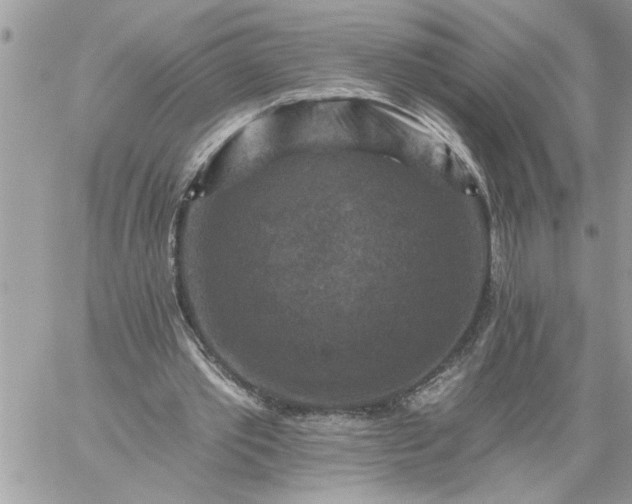 X0000059080389200510172035