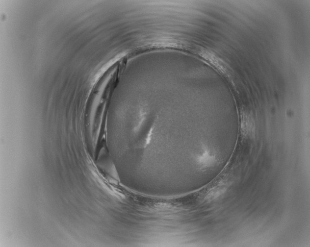 X0000059080390200510172035