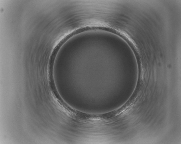 X0000059080391200510172035