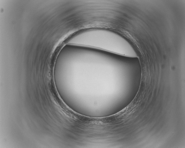 X0000059080392200510172035