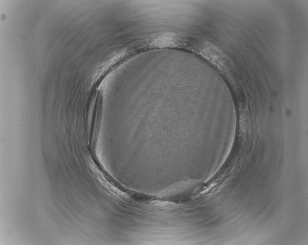 X0000059080393200510172035