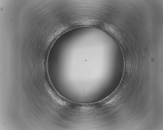 X0000059080394200510172035