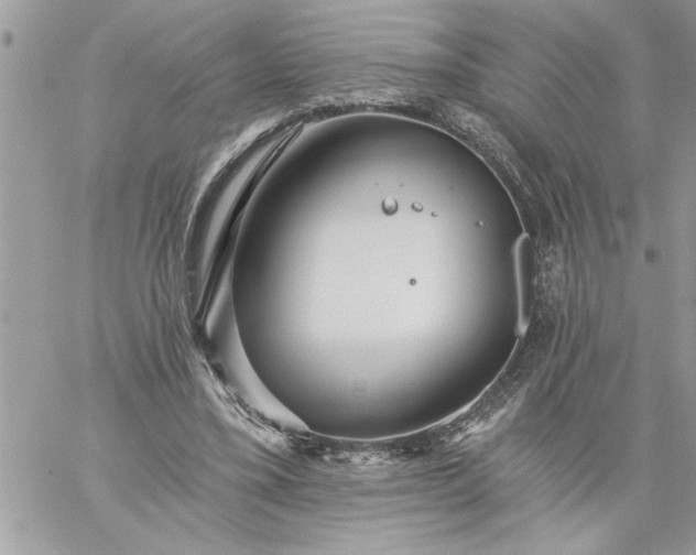 X0000059080395200510172035