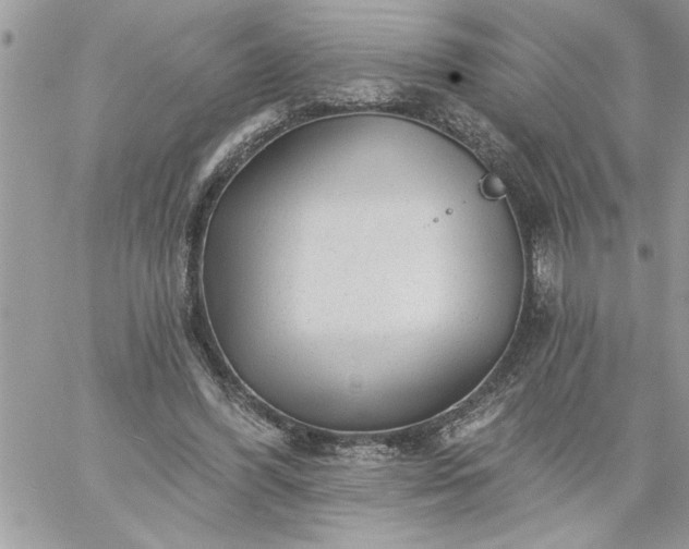 X0000059080396200510172035