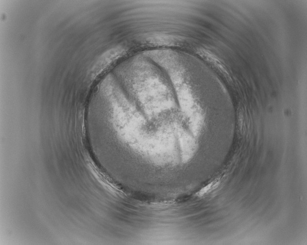 X0000059080398200510172035