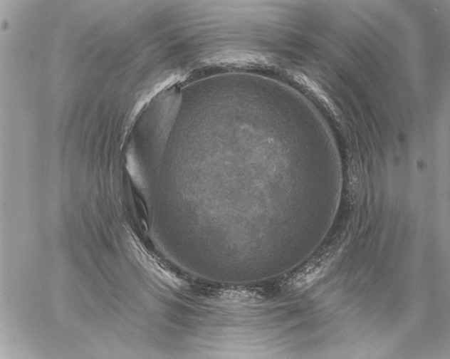 X0000059080399200510172035