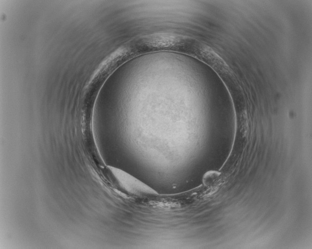 X0000059080400200510172035