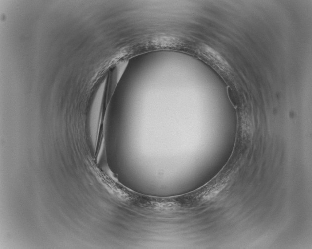 X0000059080401200510172035