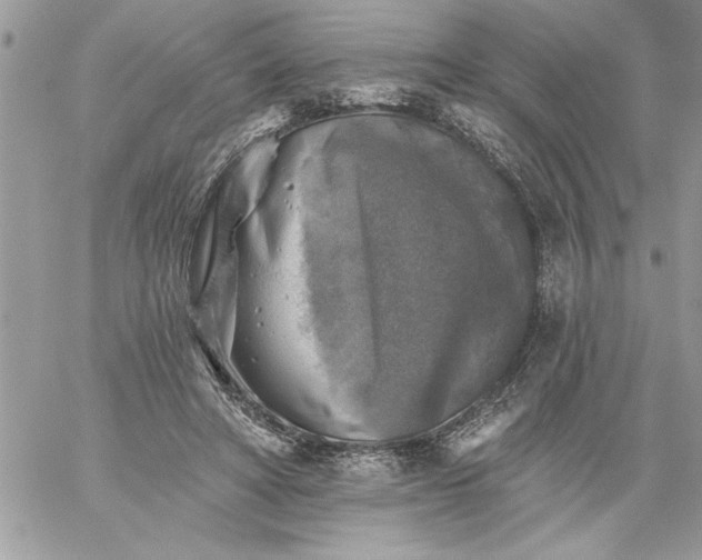 X0000059080402200510172035