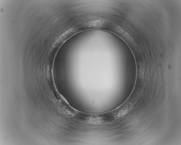 X0000059080403200510172035