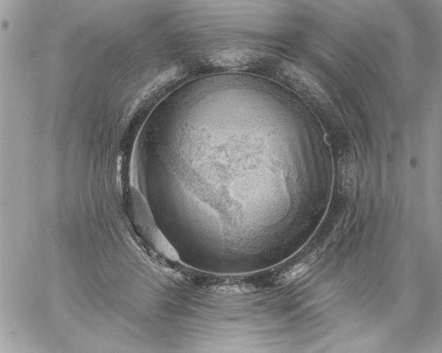 X0000059080404200510172035