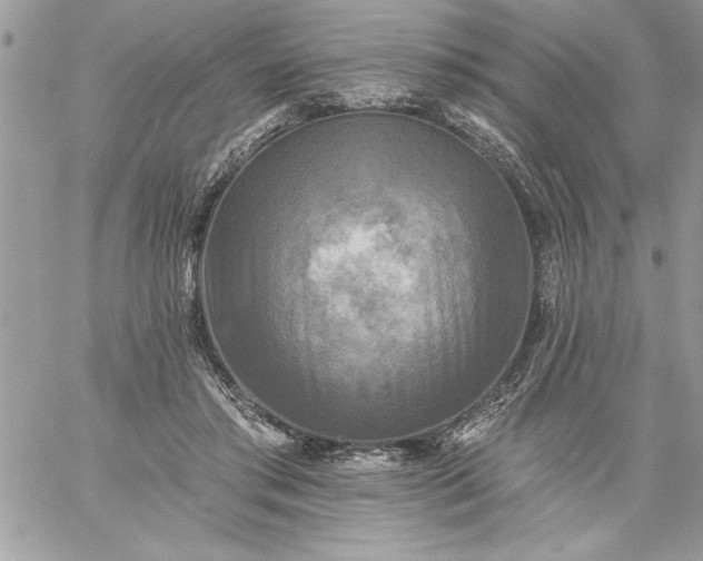 X0000059080405200510172035