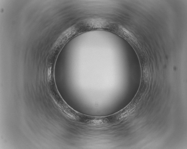 X0000059080406200510172035