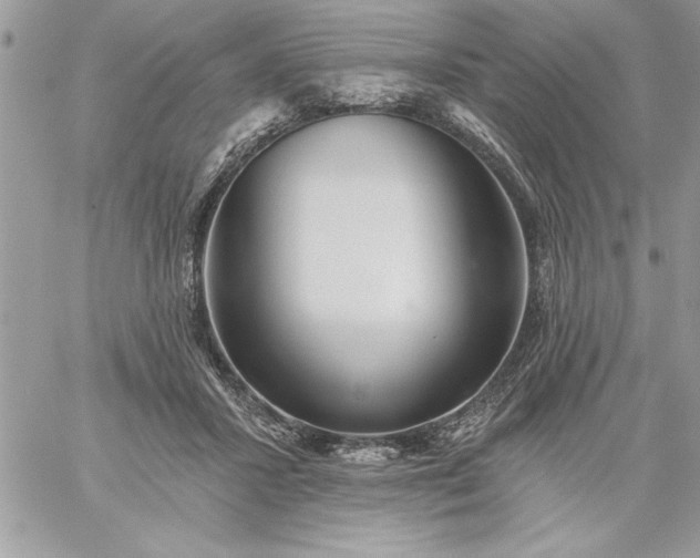 X0000059080407200510172035