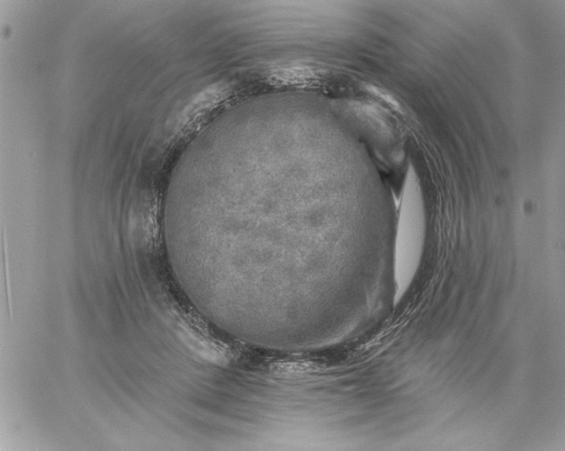 X0000059080408200510172035