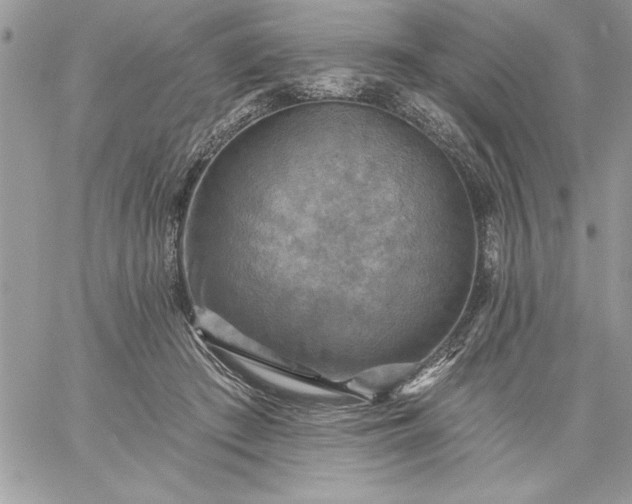 X0000059080409200510172035