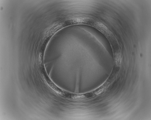 X0000059080410200510172035